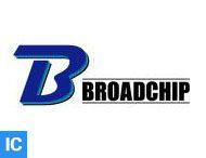 BROADCHIP (广芯电子)